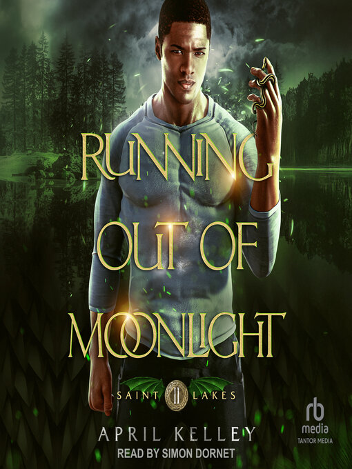 Cover image for Running Out of Moonlight